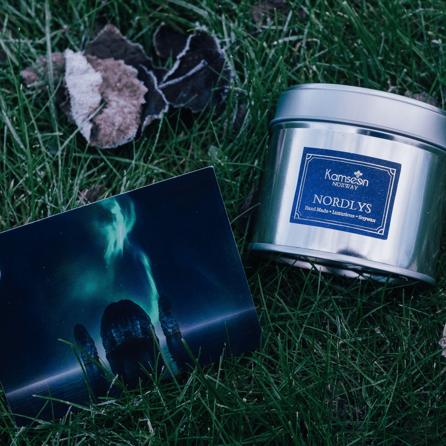 SCENTED LIGHT NORTHERN LIGHTS - Begamot, Labdanum & Leather