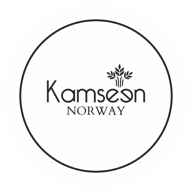 Kamseen logo